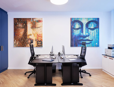 The Concept Office 30 v2